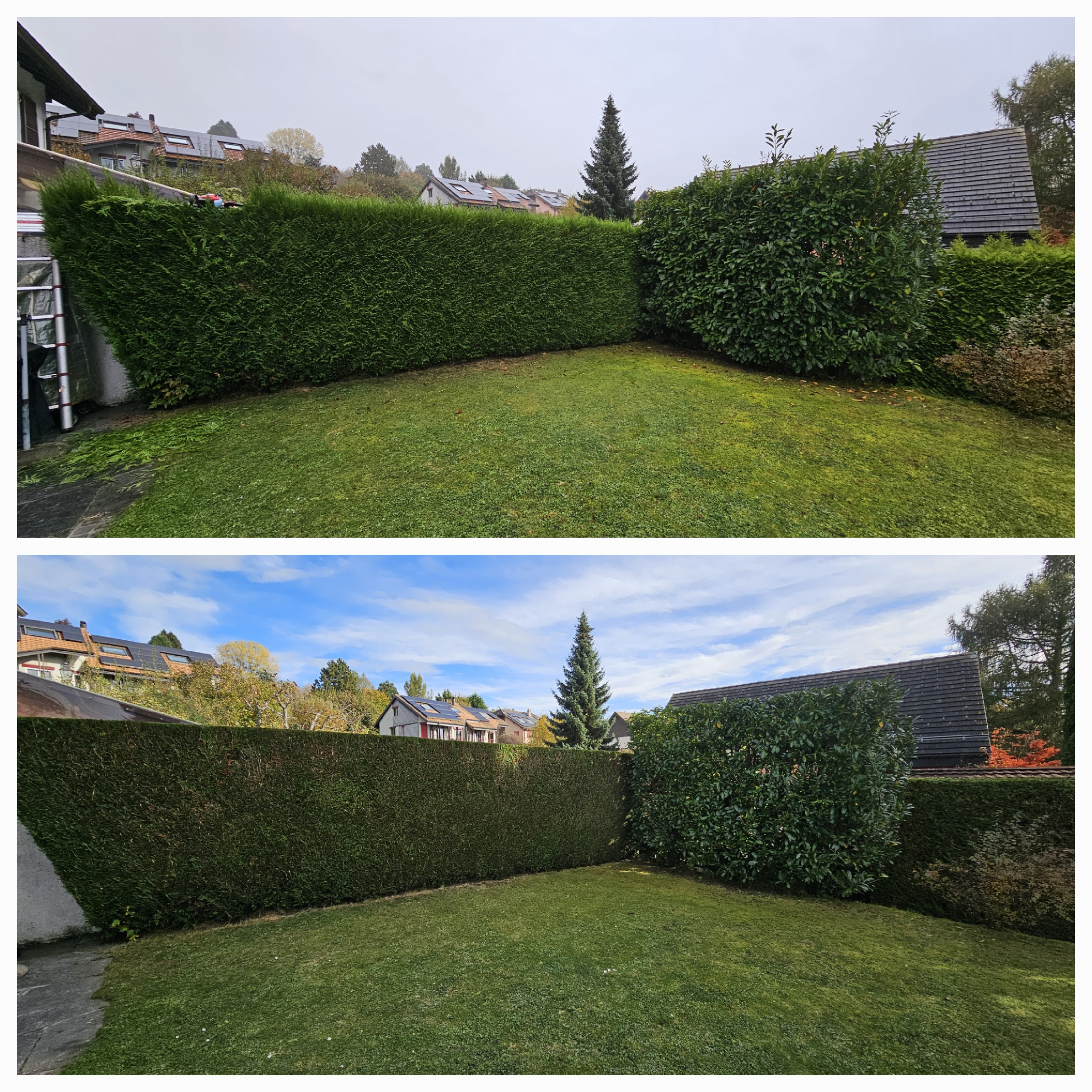 Jardin 1